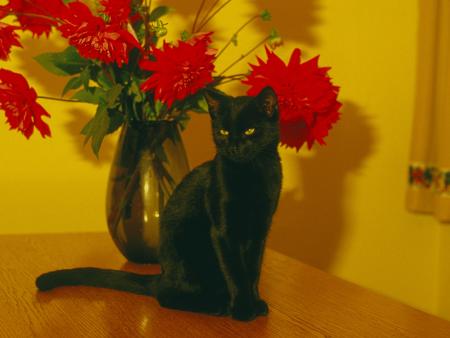 DEUTSCHE ROMANTIK dr3